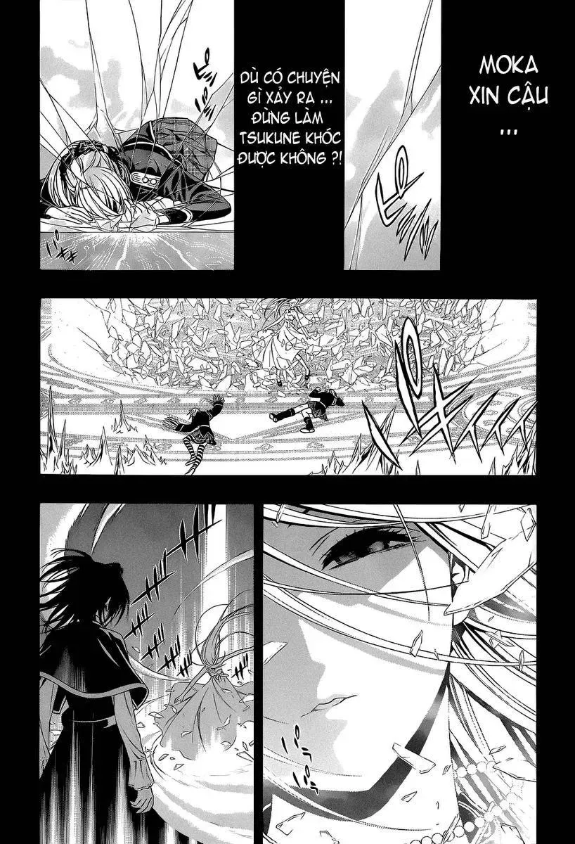 Rosario + Vampire Ss2 Chapter 54 - Trang 4
