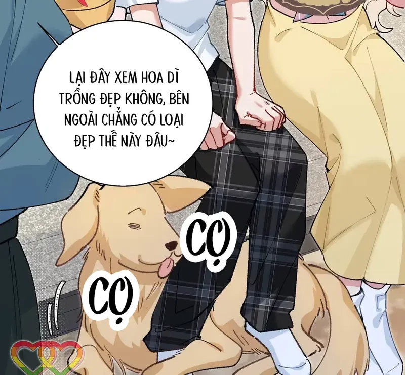 Run Run Rẩy Rẩy Chạy Khỏi Người Chapter 19 - Trang 11