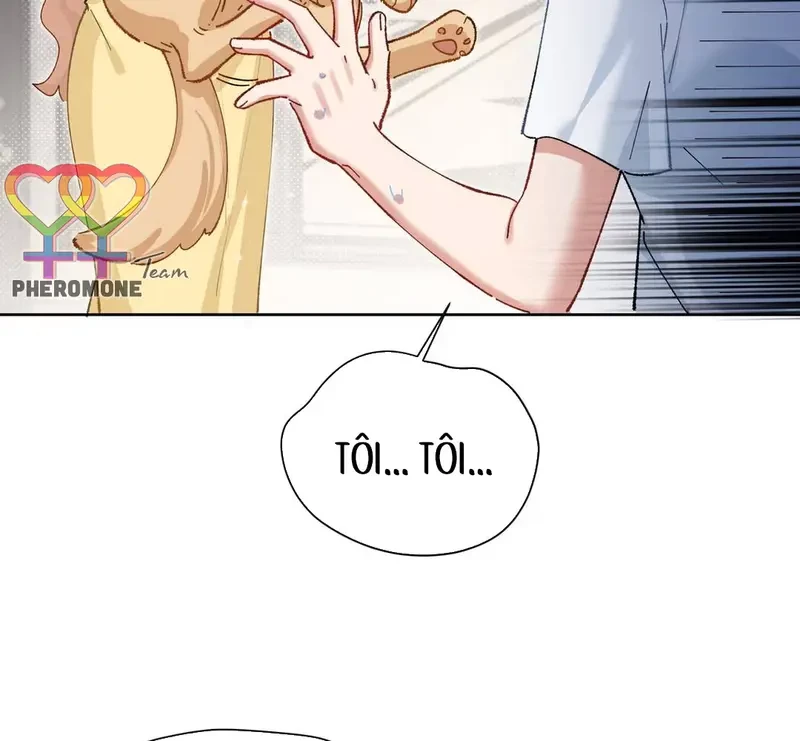 Run Run Rẩy Rẩy Chạy Khỏi Người Chapter 19 - Trang 36