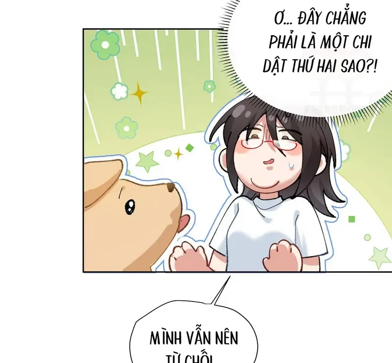 Run Run Rẩy Rẩy Chạy Khỏi Người Chapter 19 - Trang 44