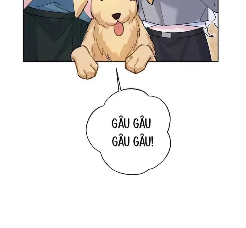 Run Run Rẩy Rẩy Chạy Khỏi Người Chapter 19 - Trang 8