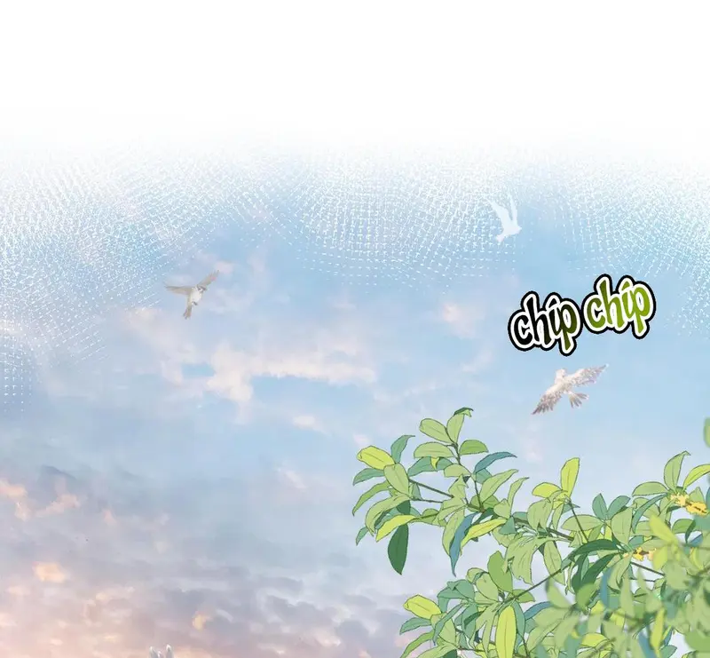 Run Run Rẩy Rẩy Chạy Khỏi Người Chapter 2 - Trang 13