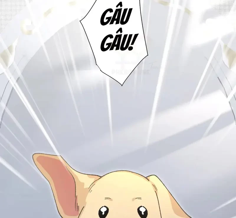Run Run Rẩy Rẩy Chạy Khỏi Người Chapter 20.5 - Trang 12