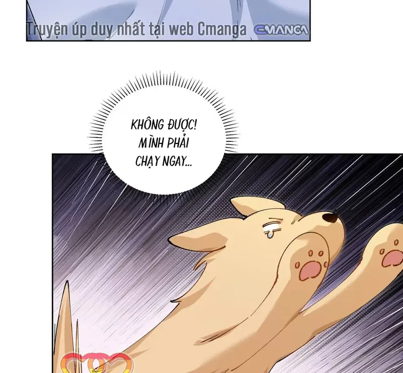 Run Run Rẩy Rẩy Chạy Khỏi Người Chapter 20.5 - Trang 20