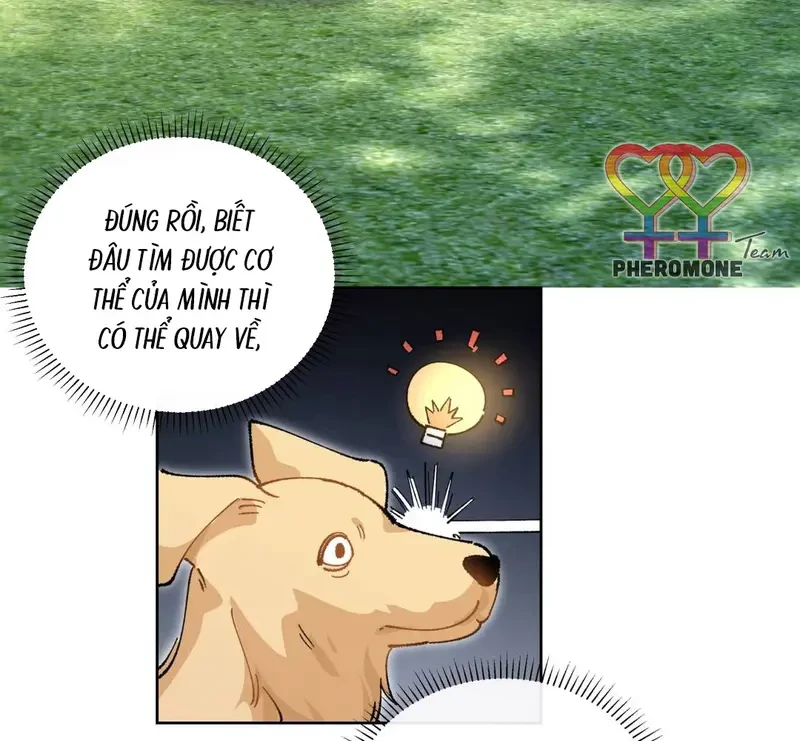 Run Run Rẩy Rẩy Chạy Khỏi Người Chapter 20.5 - Trang 32