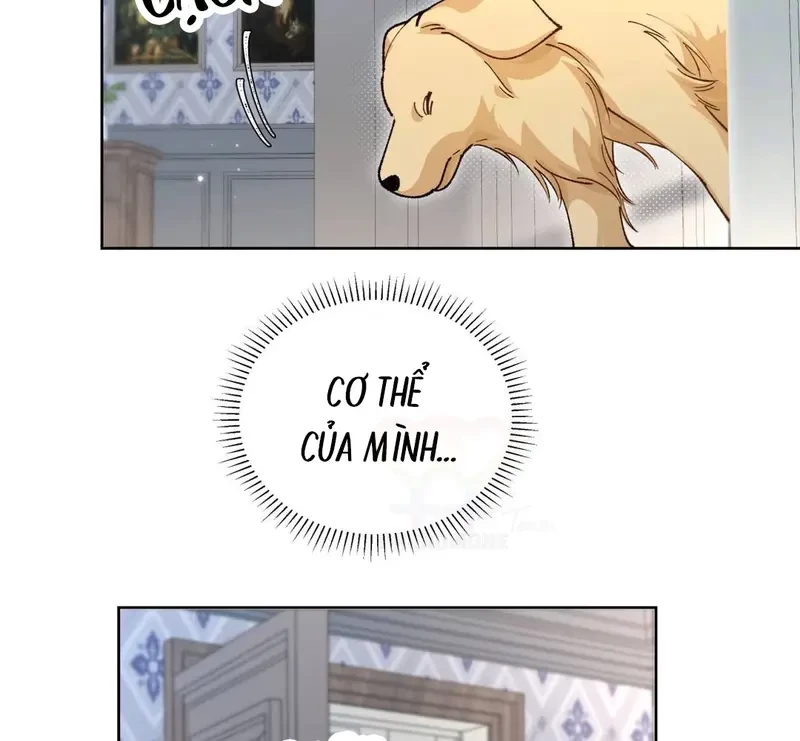 Run Run Rẩy Rẩy Chạy Khỏi Người Chapter 20.5 - Trang 36