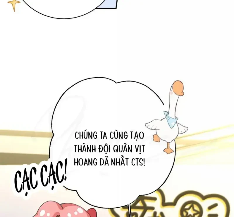 Run Run Rẩy Rẩy Chạy Khỏi Người Chapter 33 - Trang 31