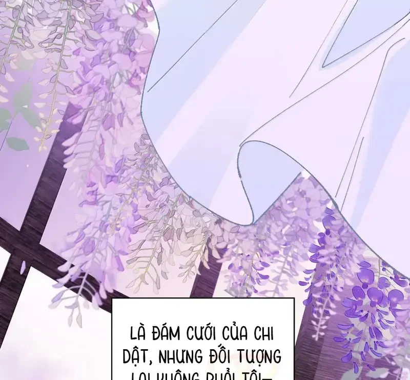 Run Run Rẩy Rẩy Chạy Khỏi Người Chapter 42 - Trang 47