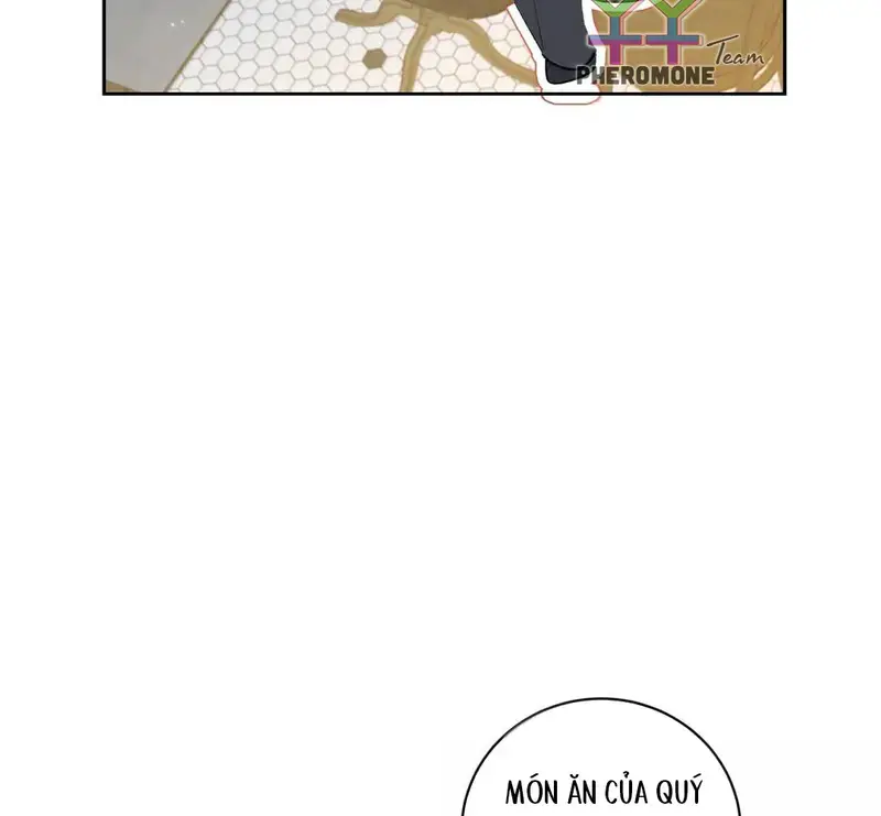 Run Run Rẩy Rẩy Chạy Khỏi Người Chapter 47 - Trang 50