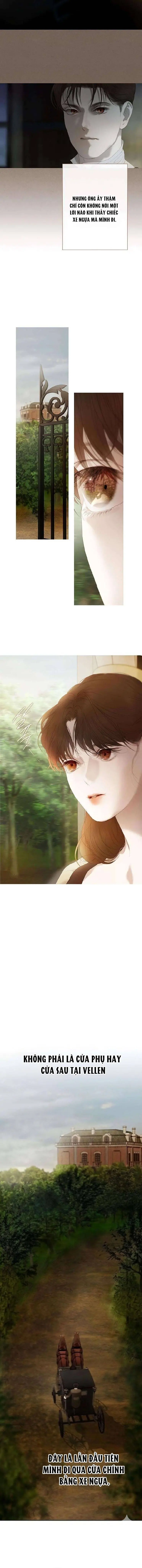 Rừng Chanh Chapter 17 - Trang 10
