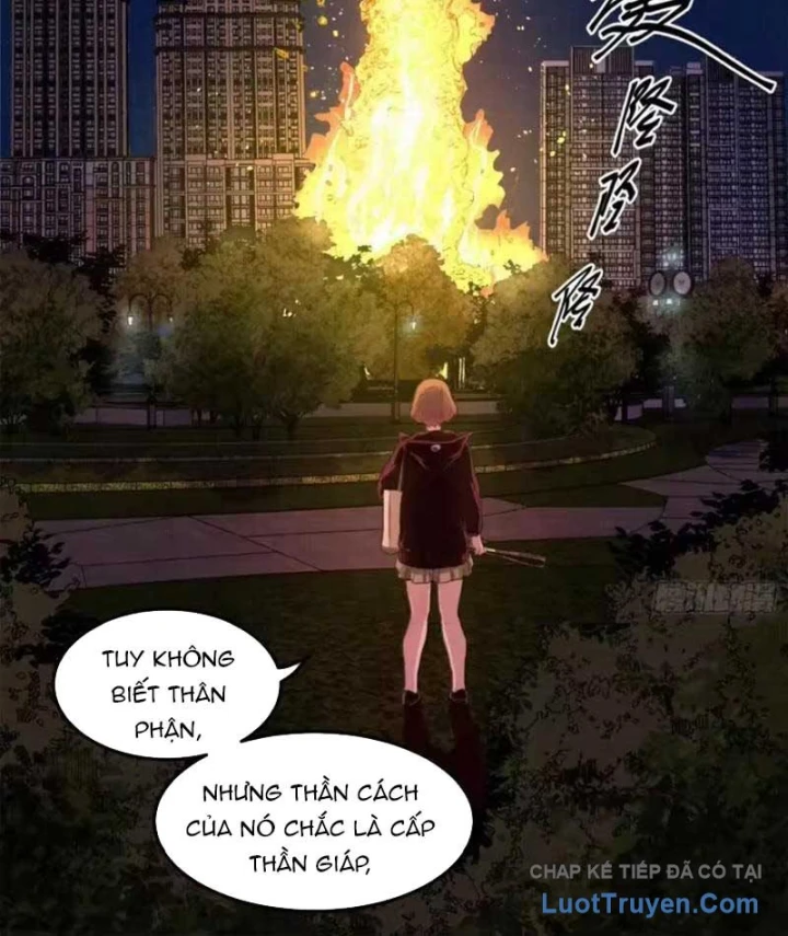Sắc Lệnh Thú Thần Chapter 21 - Trang 41