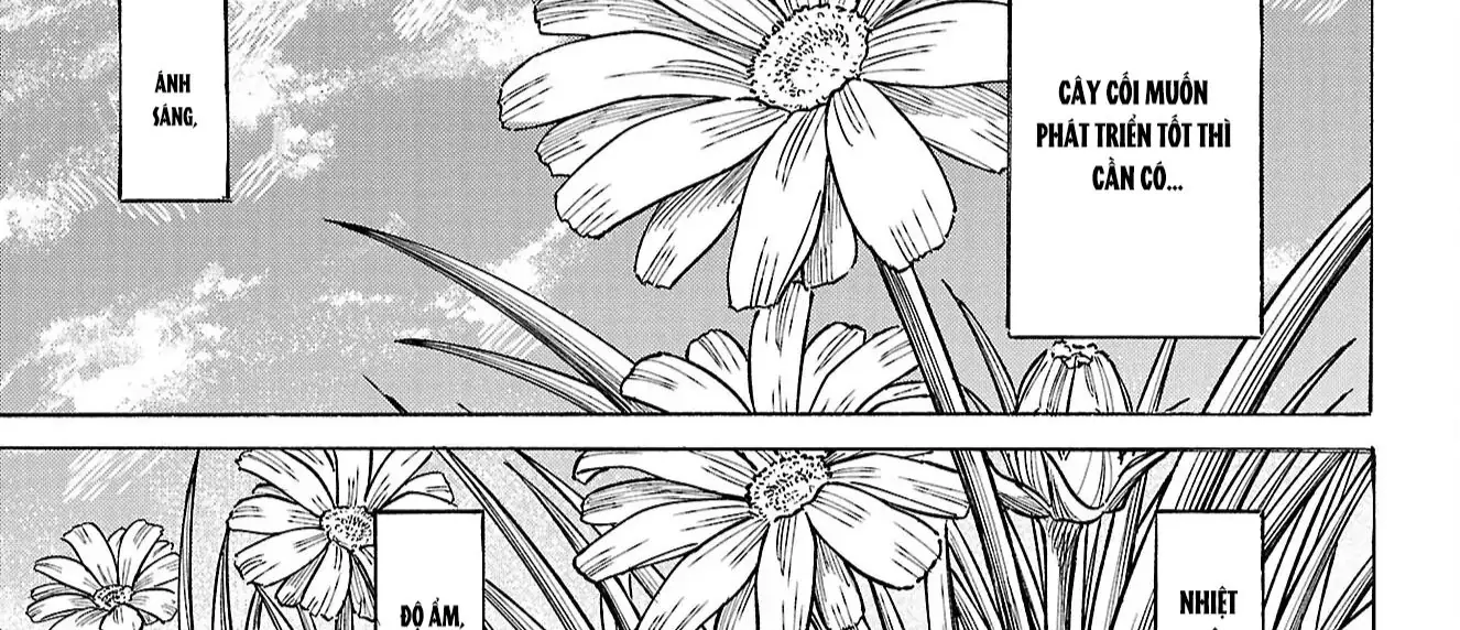 Sanda Chapter 86 - Trang 4