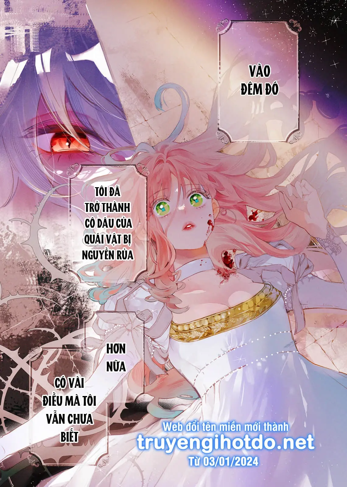 Sao Băng Ẩn Trong Hoa Chapter 1.1 - Trang 3