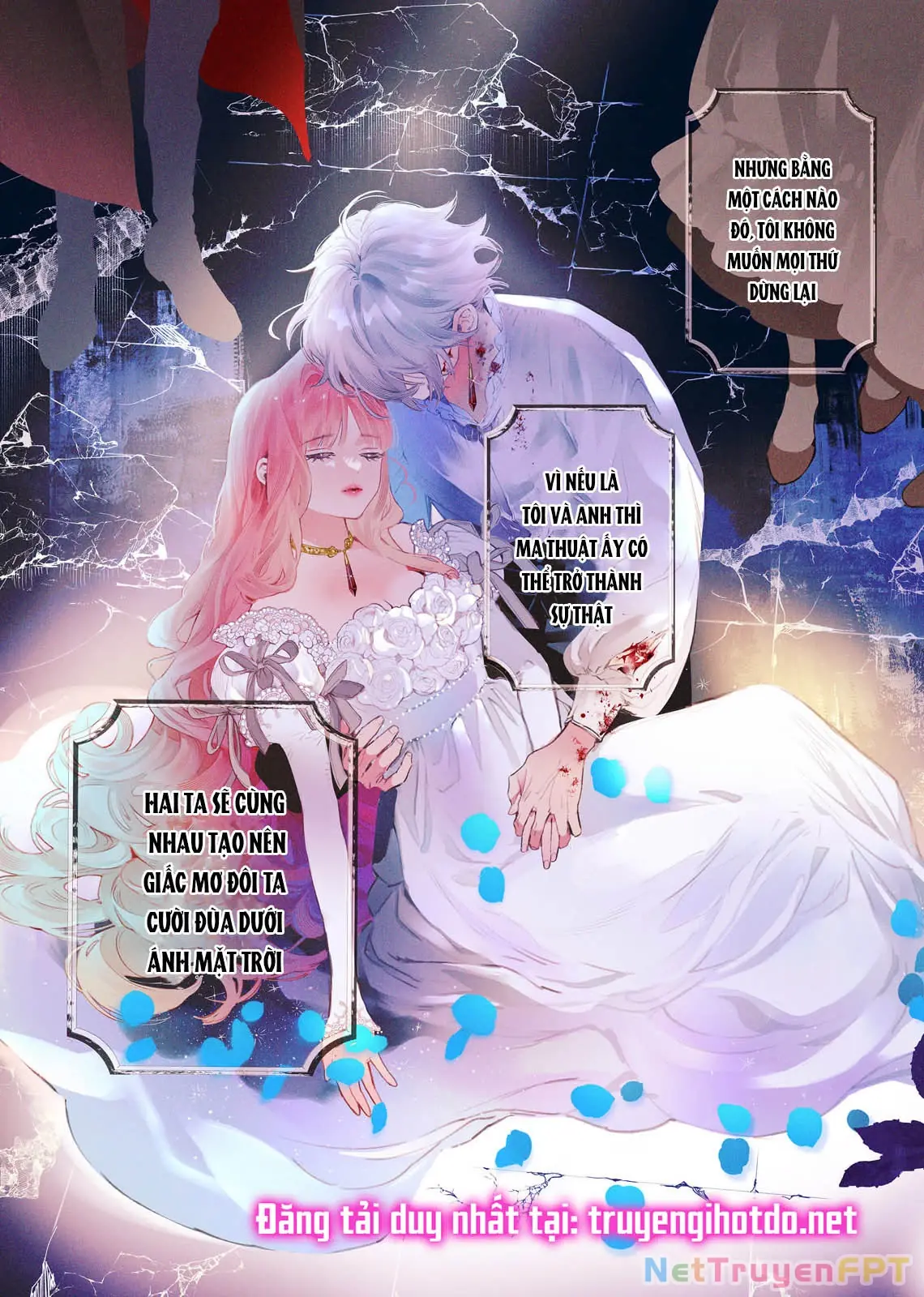 Sao Băng Ẩn Trong Hoa Chapter 1.1 - Trang 5