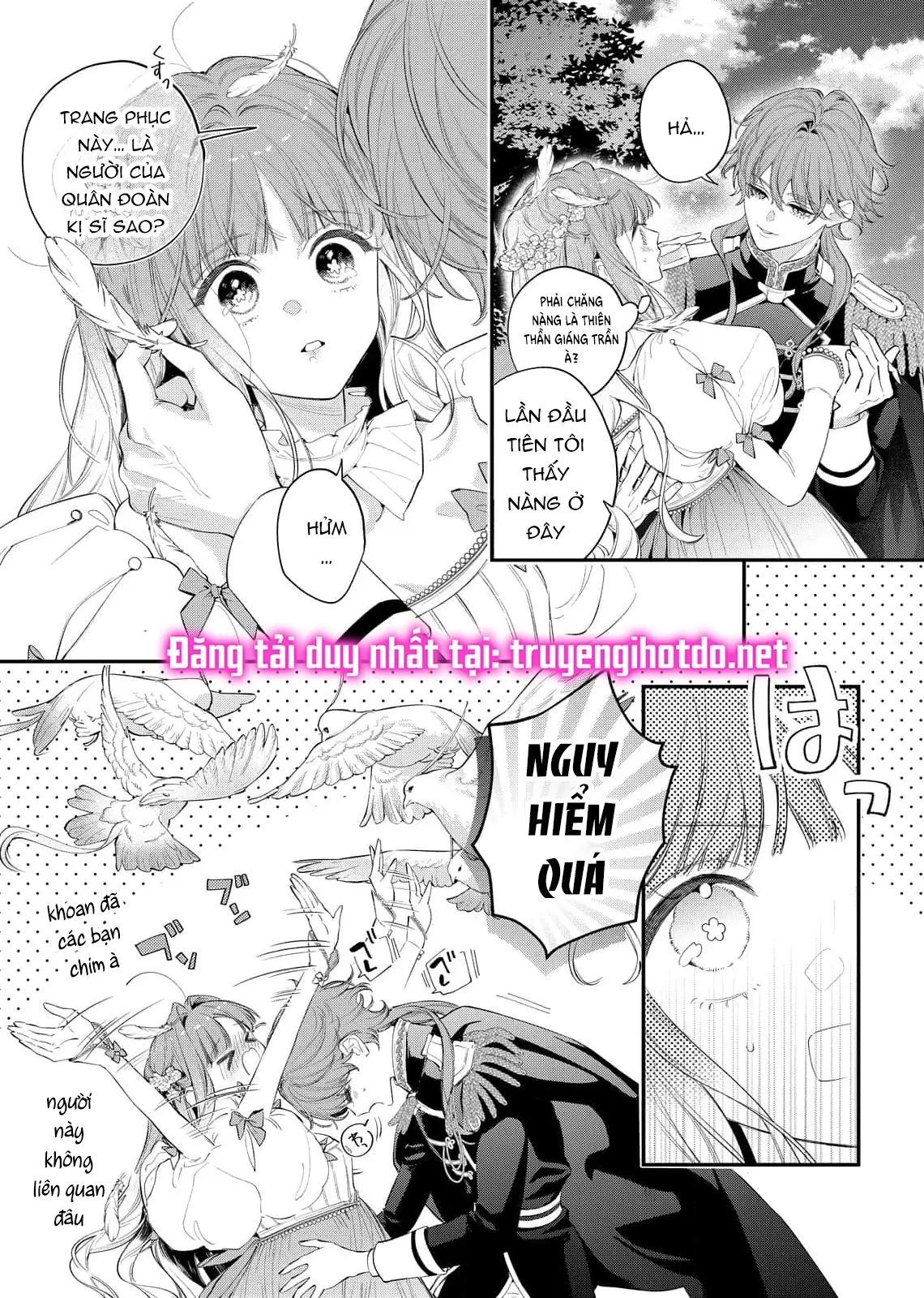 Sao Băng Ẩn Trong Hoa Chapter 11.1 - Trang 11