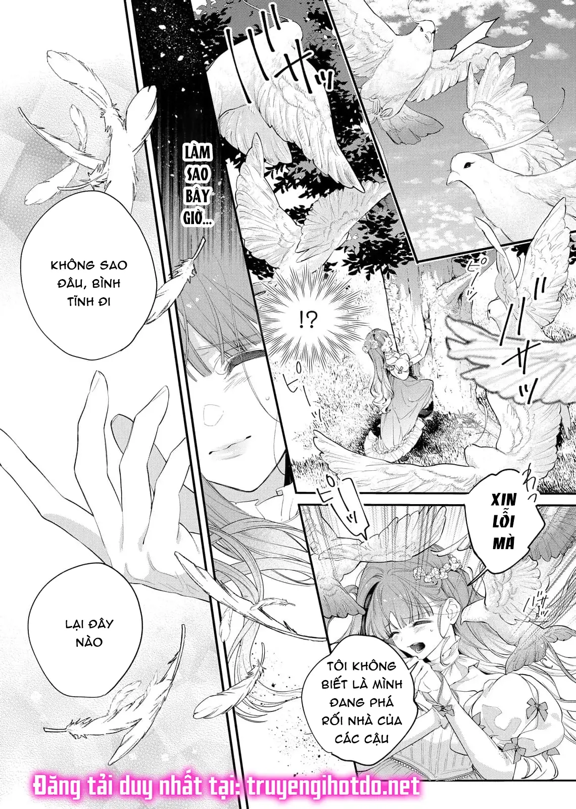 Sao Băng Ẩn Trong Hoa Chapter 11.1 - Trang 8
