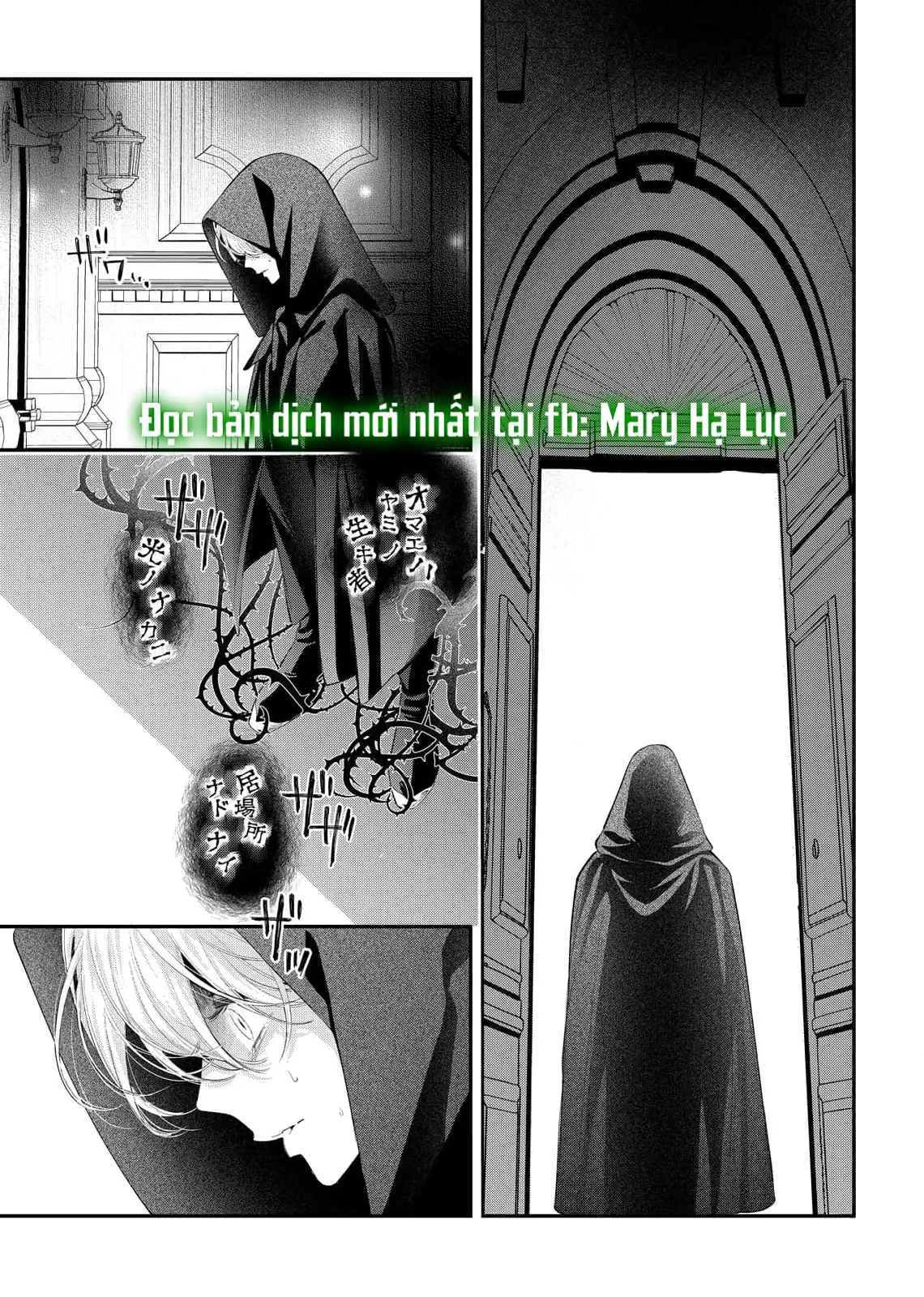 Sao Băng Ẩn Trong Hoa Chapter 12.1 - Trang 8