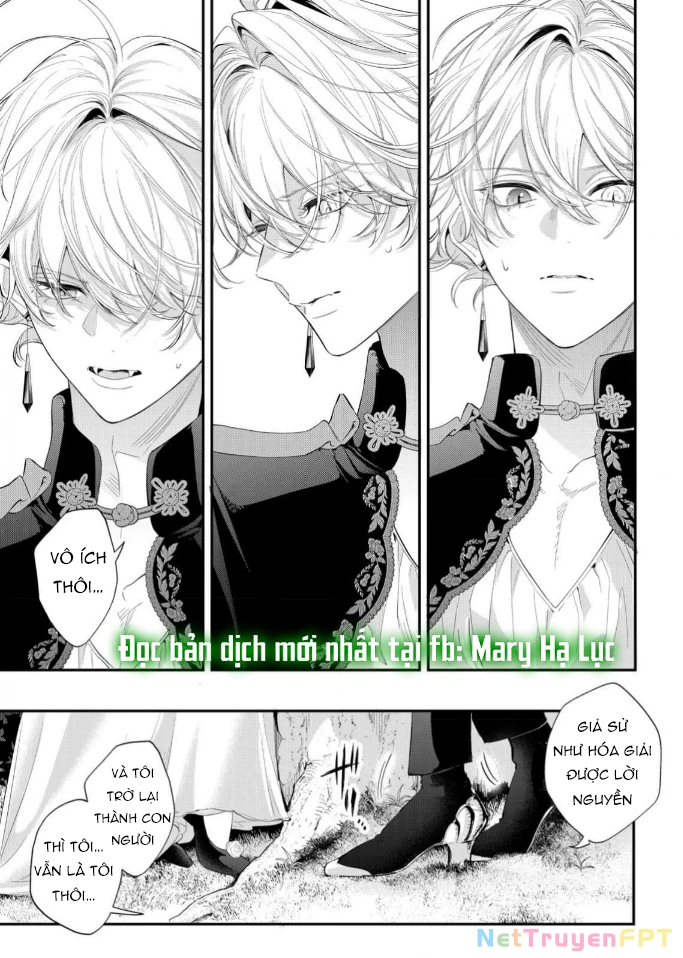 Sao Băng Ẩn Trong Hoa Chapter 13.1 - Trang 14