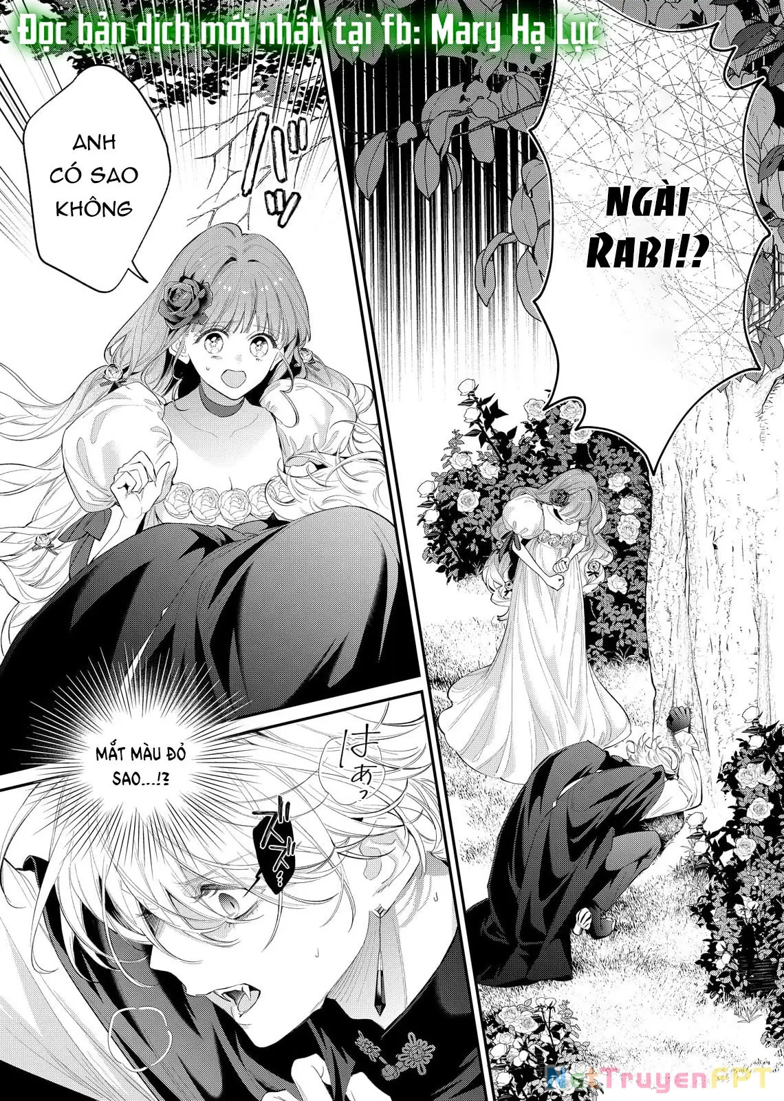 Sao Băng Ẩn Trong Hoa Chapter 14.1 - Trang 4