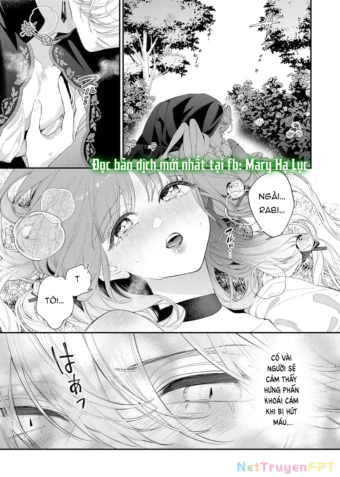 Sao Băng Ẩn Trong Hoa Chapter 14.2 - Trang 3
