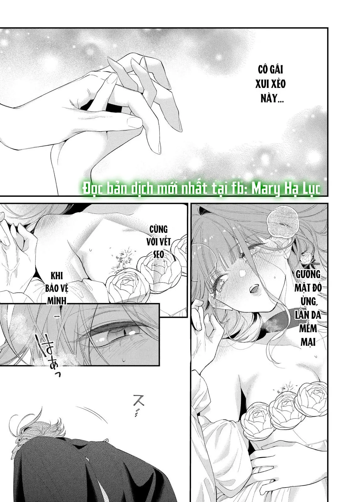 Sao Băng Ẩn Trong Hoa Chapter 14.2 - Trang 5