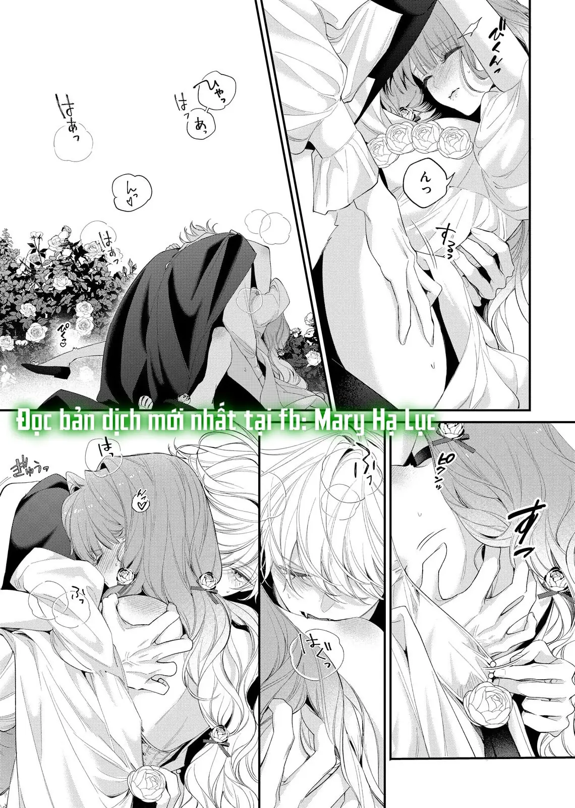 Sao Băng Ẩn Trong Hoa Chapter 15.1 - Trang 8