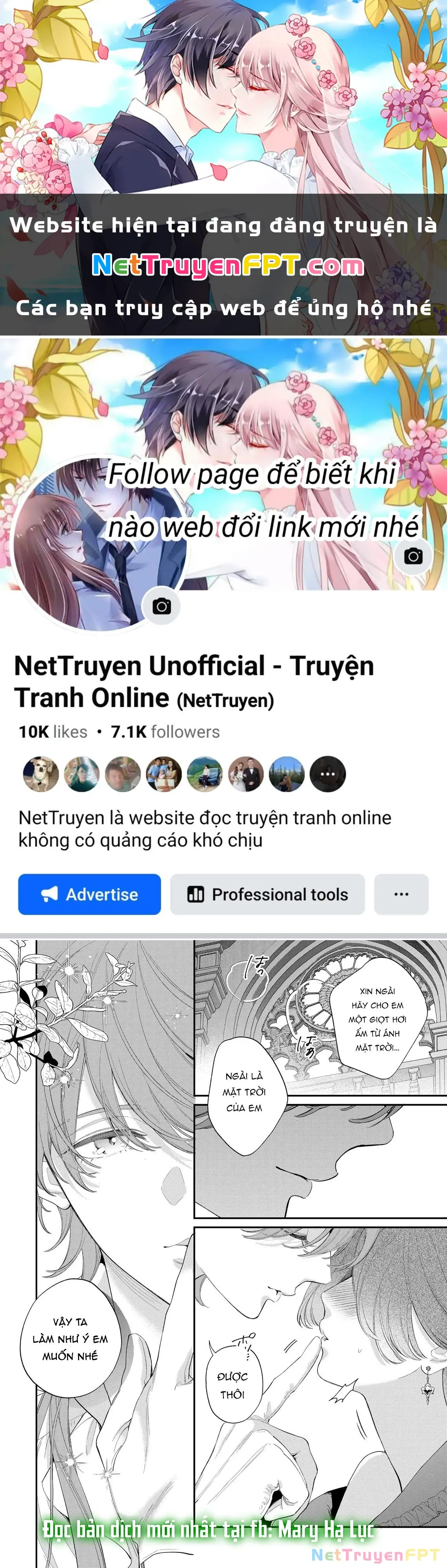 Sao Băng Ẩn Trong Hoa Chapter 17.2 - Trang 2