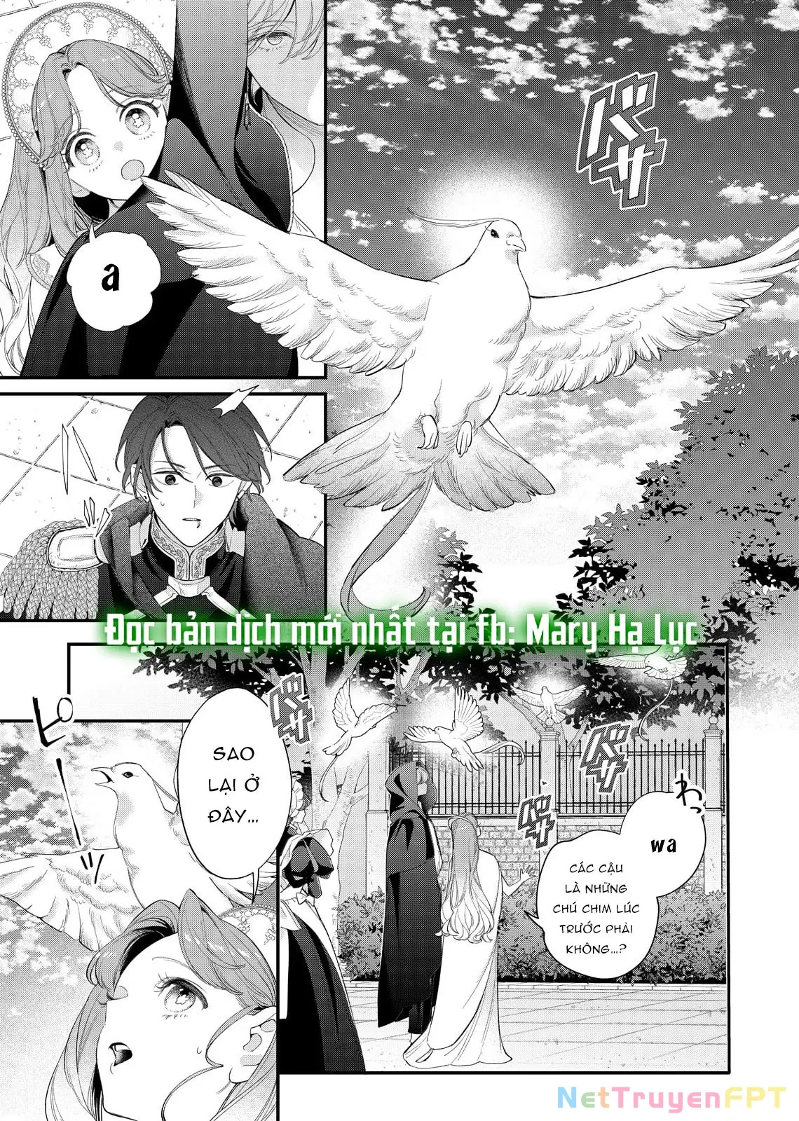 Sao Băng Ẩn Trong Hoa Chapter 18.1 - Trang 20