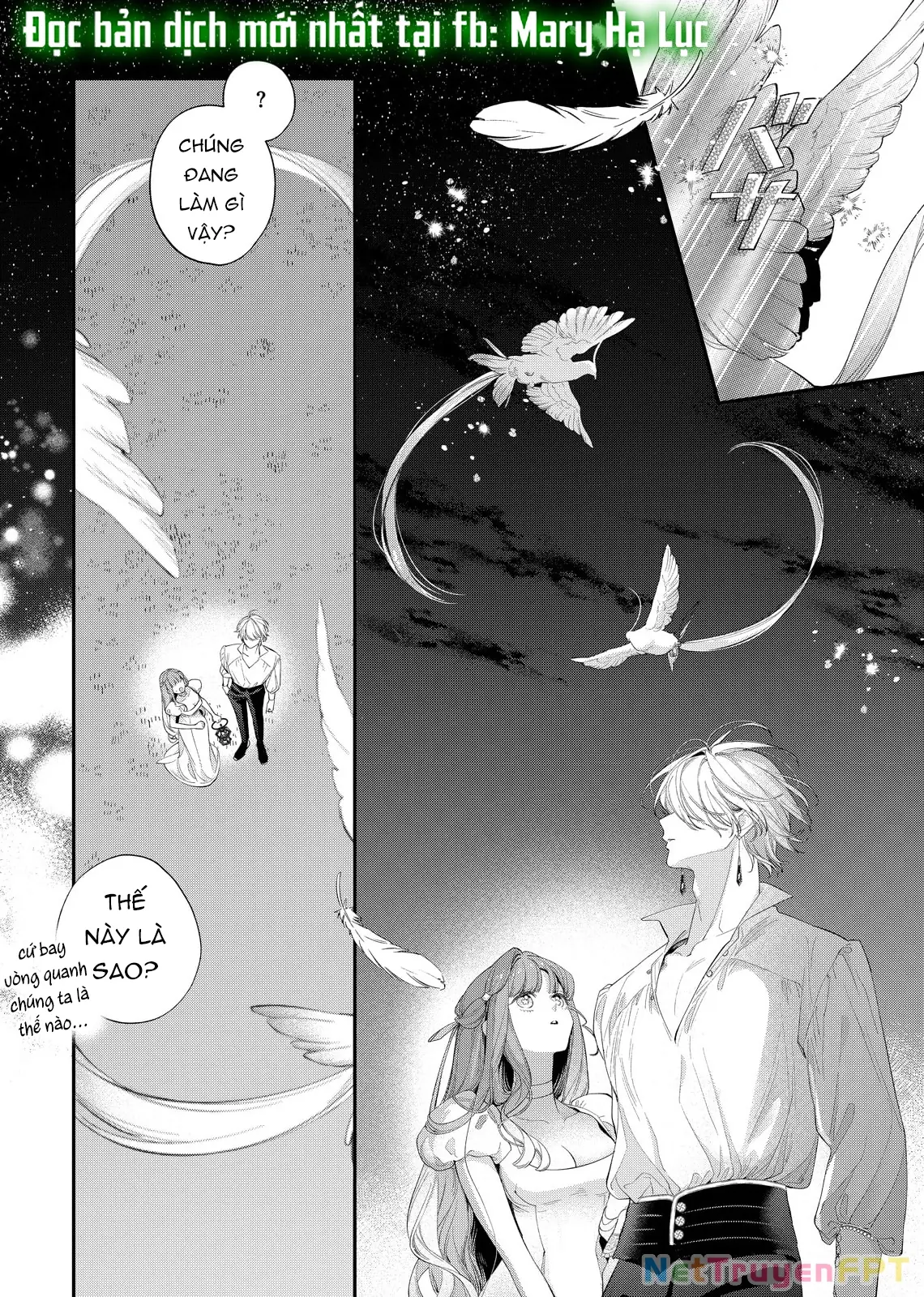Sao Băng Ẩn Trong Hoa Chapter 20.1 - Trang 13