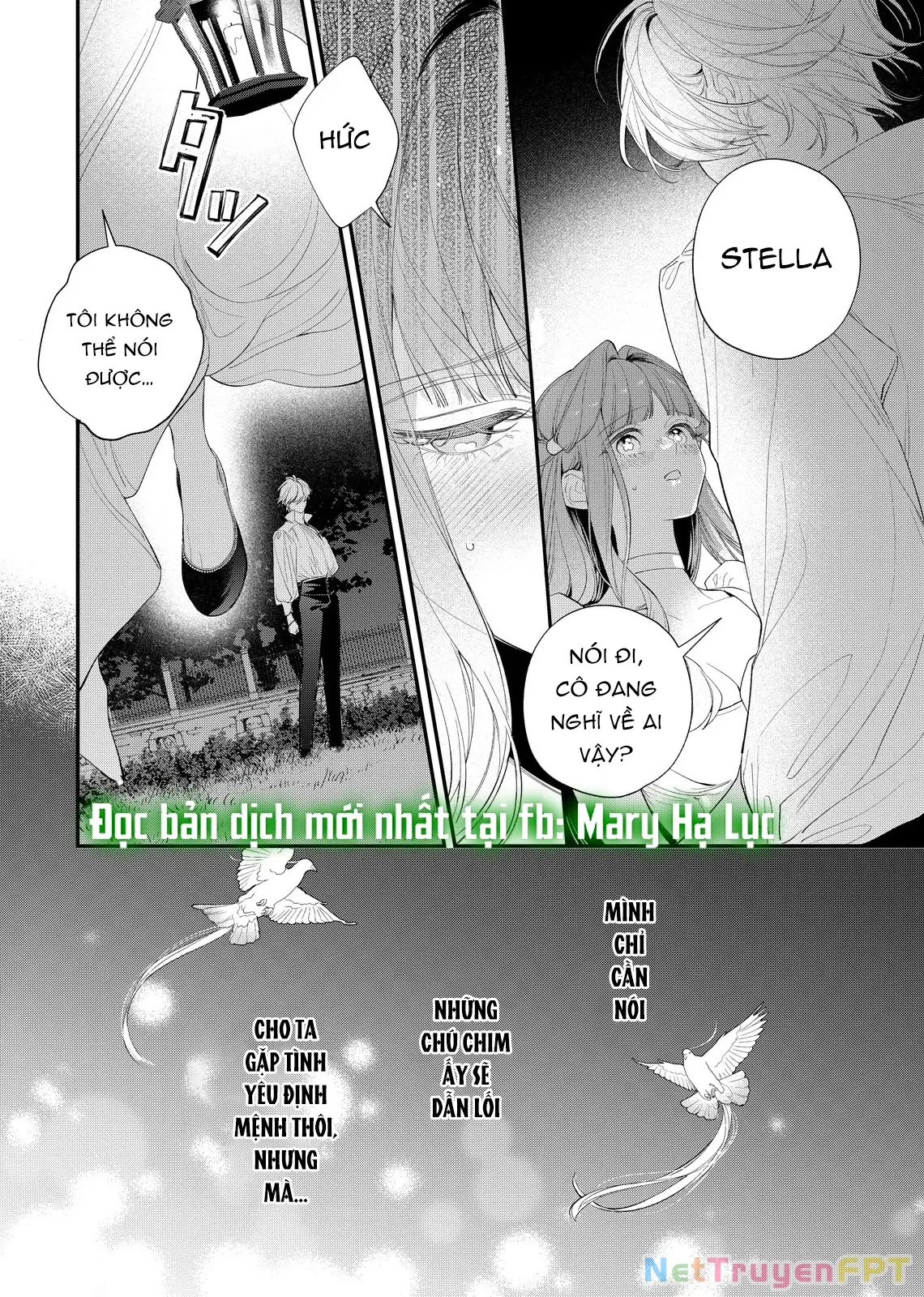 Sao Băng Ẩn Trong Hoa Chapter 20.1 - Trang 17