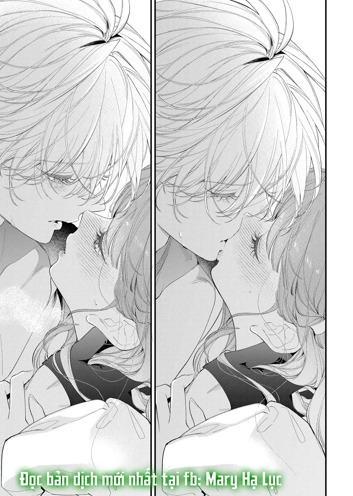 Sao Băng Ẩn Trong Hoa Chapter 20.2 - Trang 10
