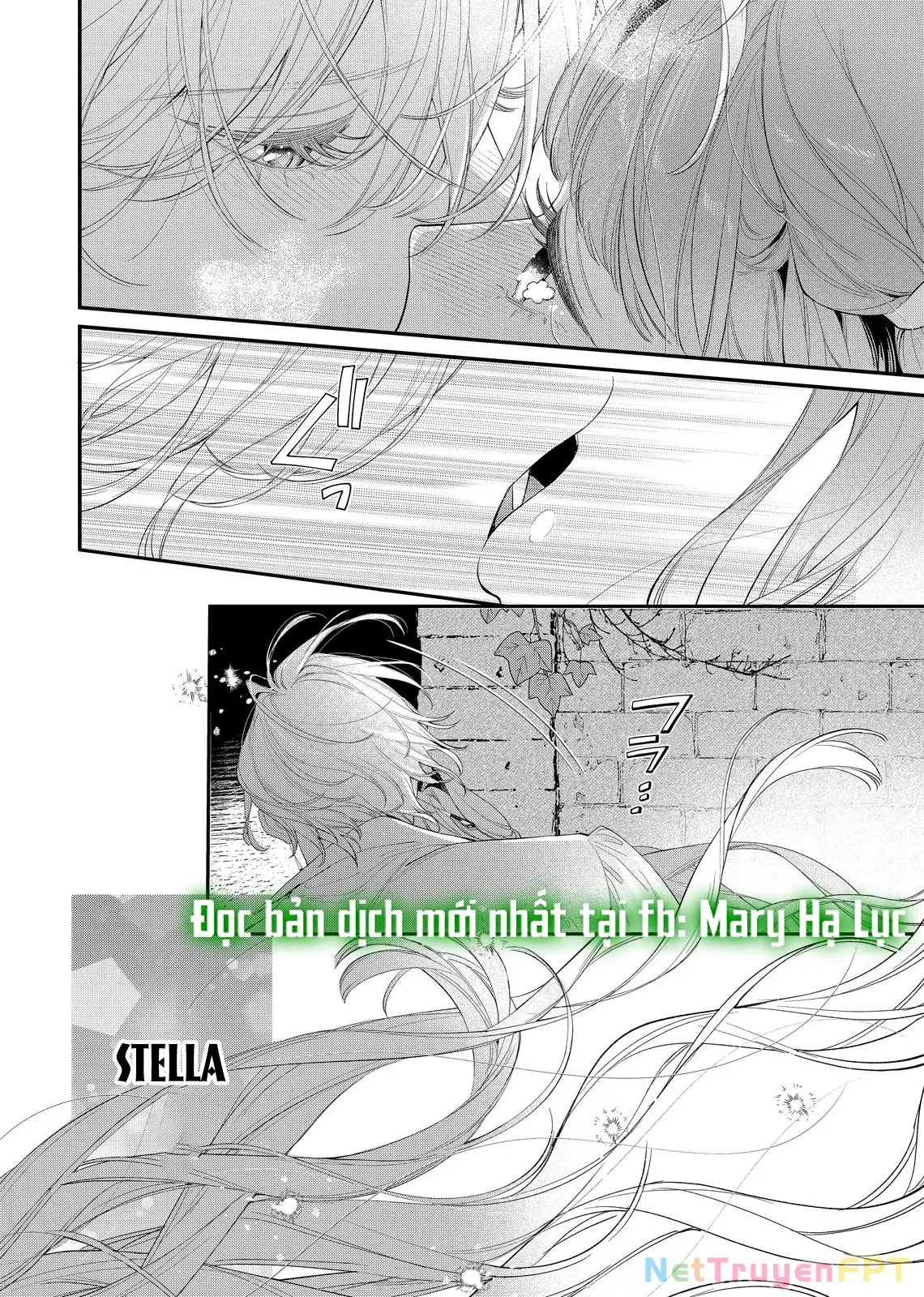 Sao Băng Ẩn Trong Hoa Chapter 20.2 - Trang 11