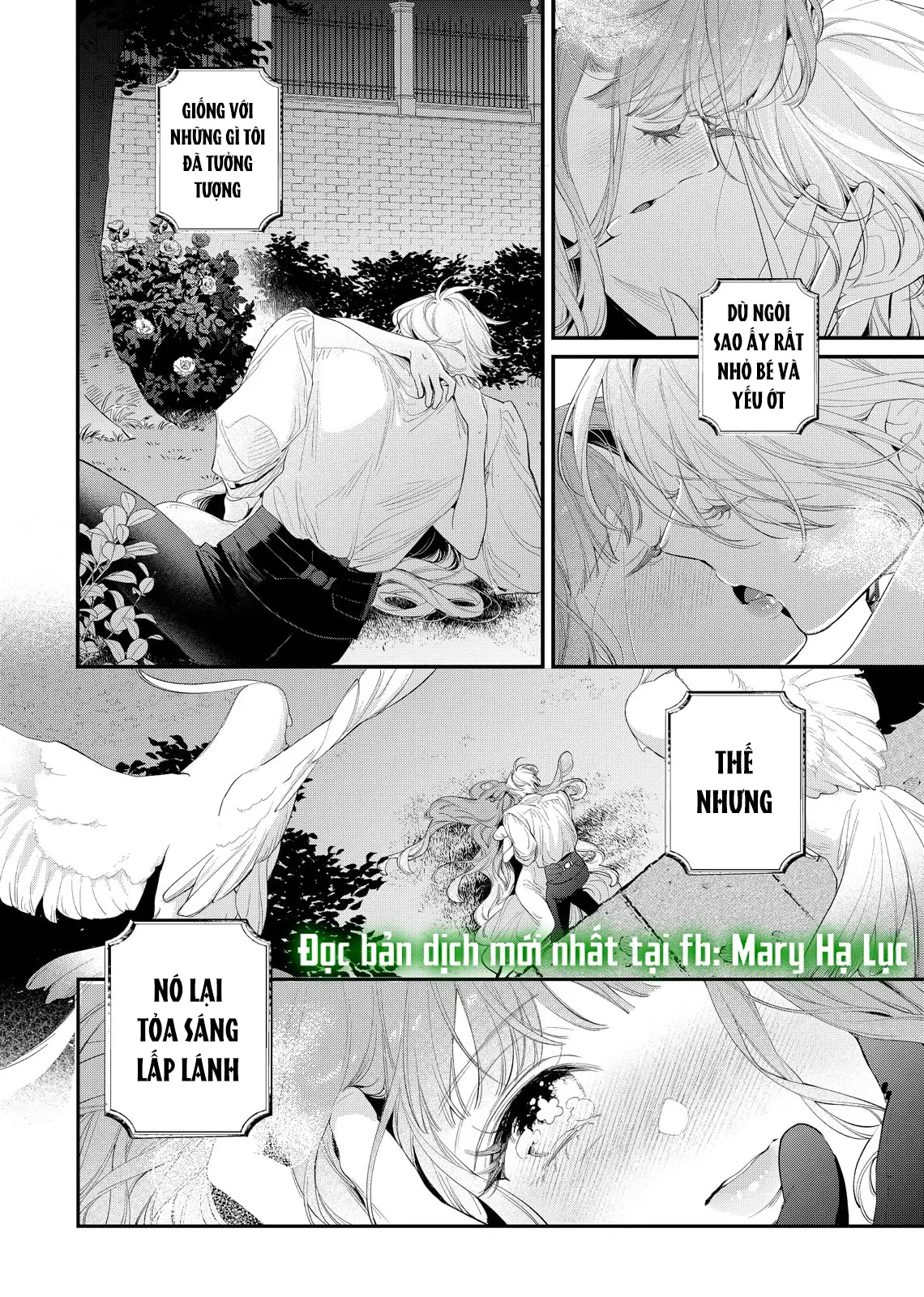 Sao Băng Ẩn Trong Hoa Chapter 20.2 - Trang 13