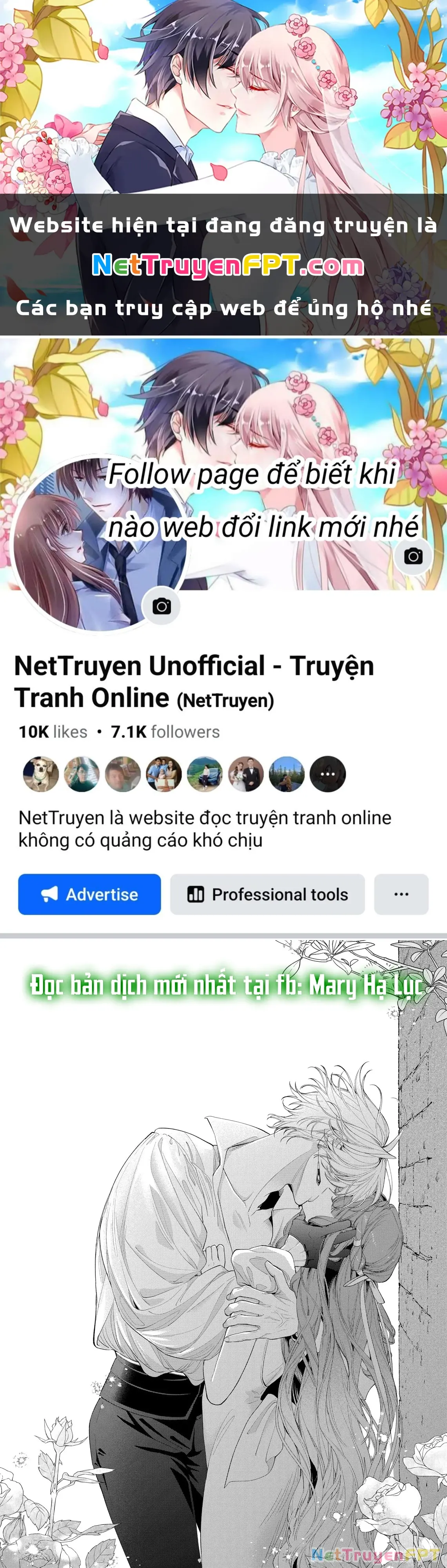 Sao Băng Ẩn Trong Hoa Chapter 20.2 - Trang 2