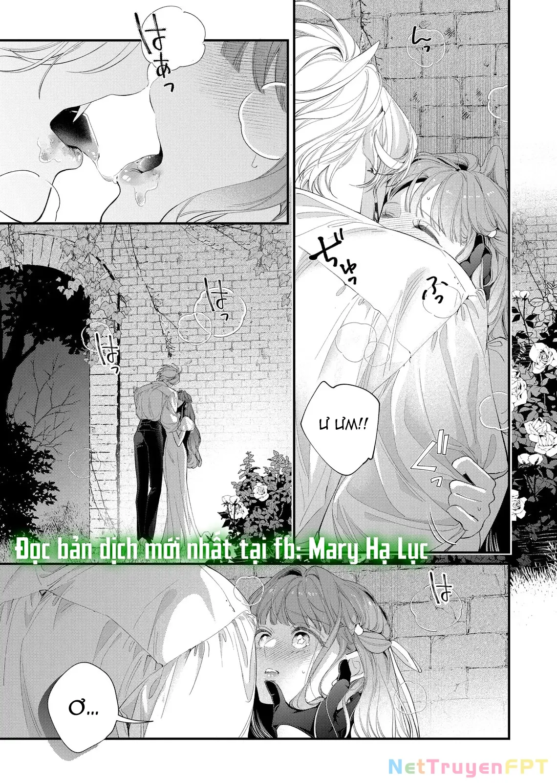 Sao Băng Ẩn Trong Hoa Chapter 20.2 - Trang 4