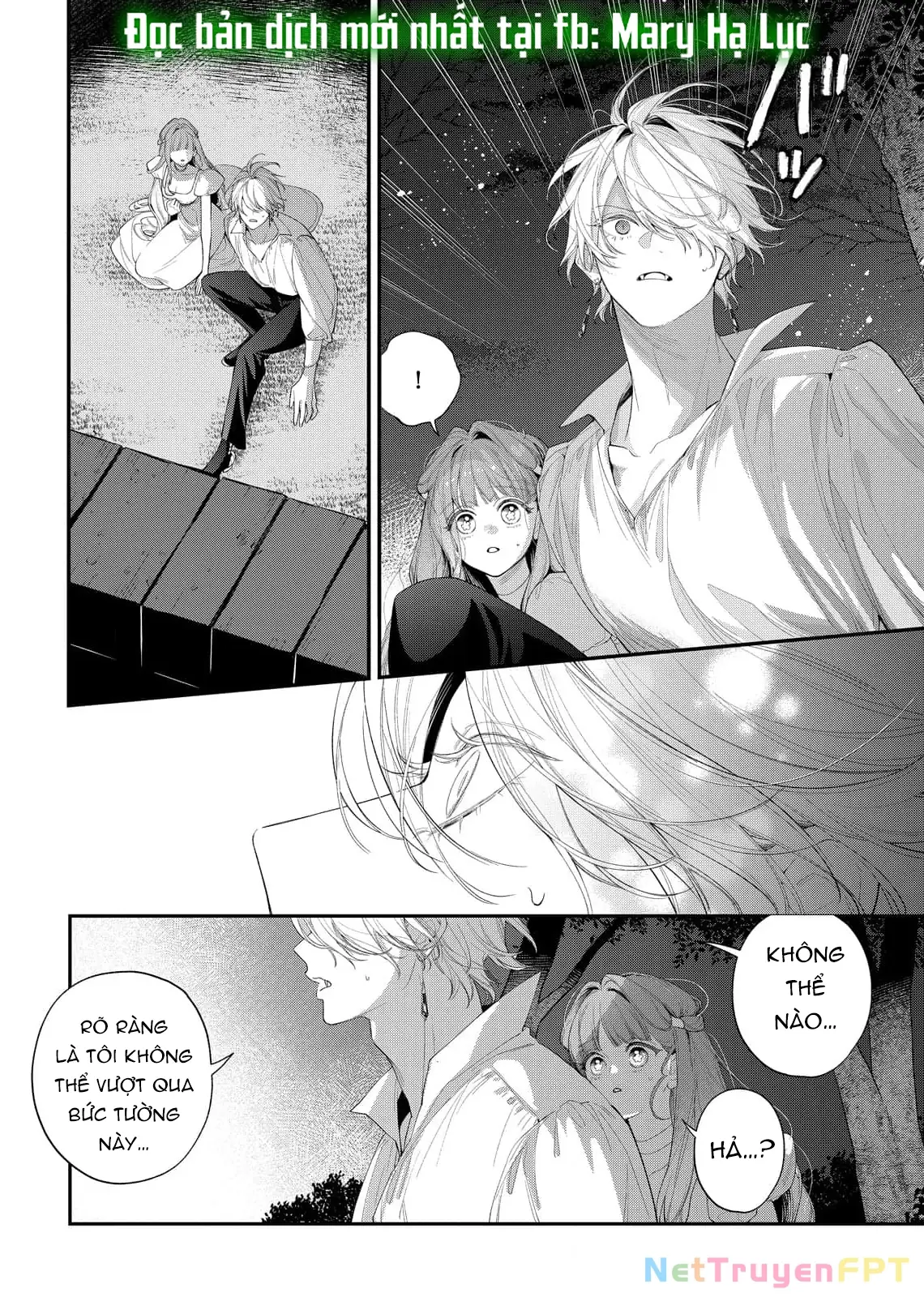 Sao Băng Ẩn Trong Hoa Chapter 21.1 - Trang 11