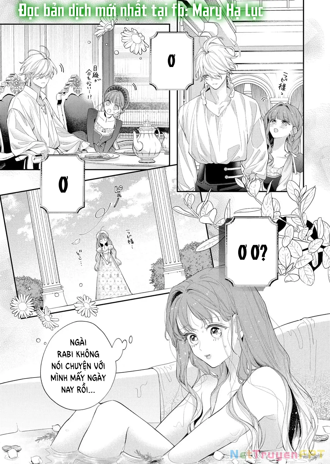 Sao Băng Ẩn Trong Hoa Chapter 21.1 - Trang 18