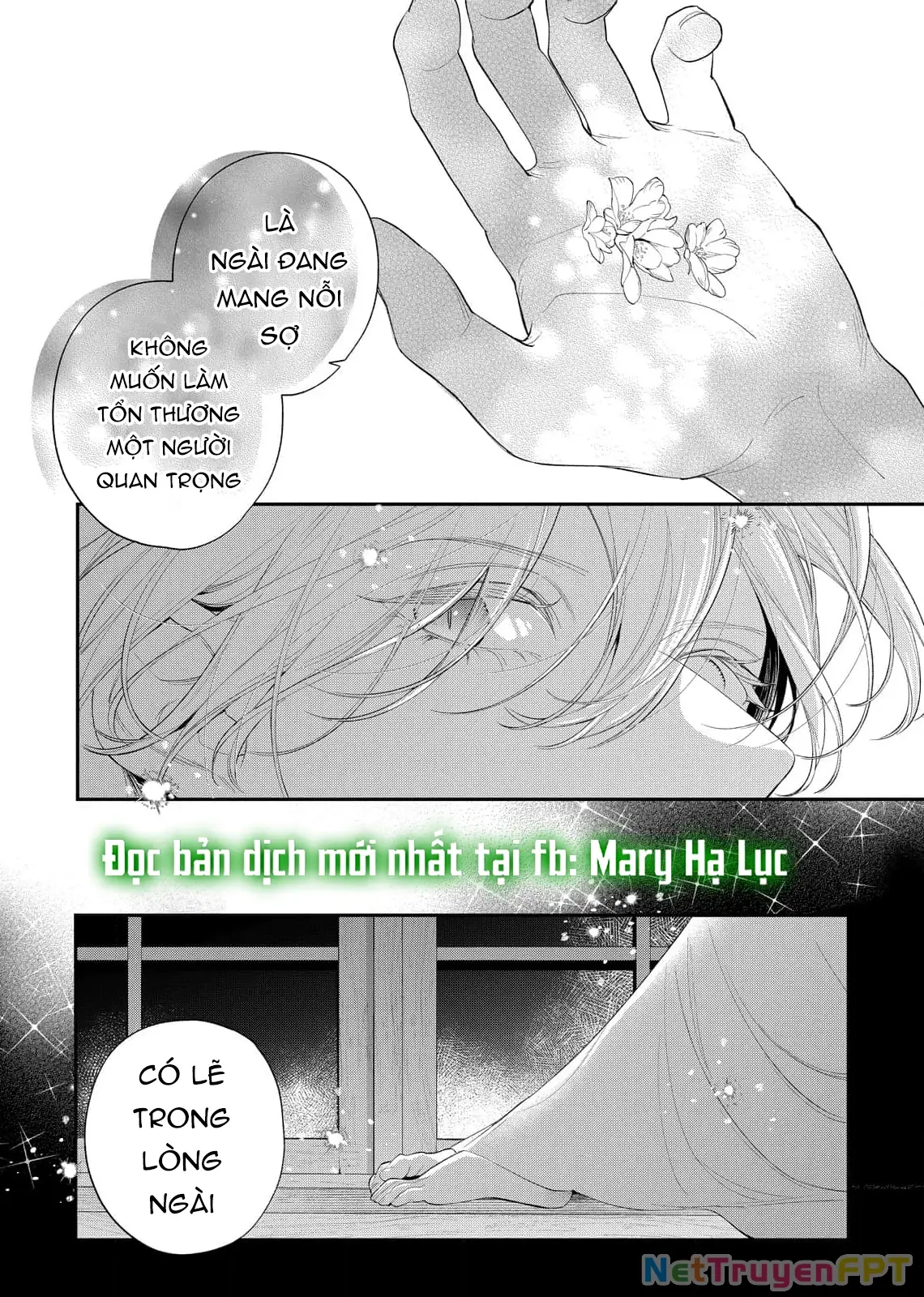 Sao Băng Ẩn Trong Hoa Chapter 21.2 - Trang 12