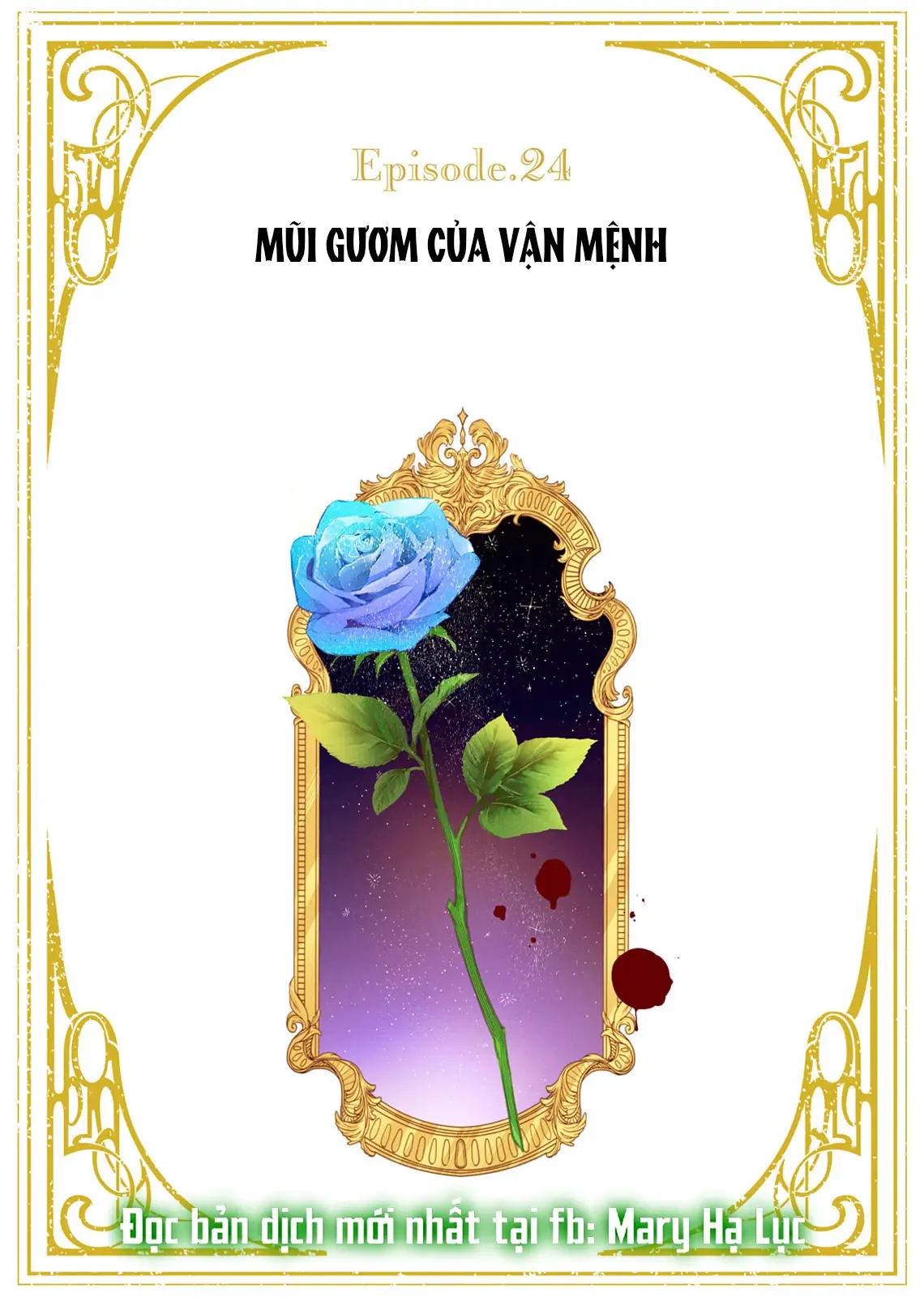 Sao Băng Ẩn Trong Hoa Chapter 24.1 - Trang 3