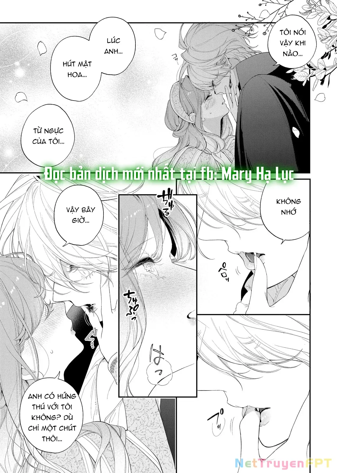 Sao Băng Ẩn Trong Hoa Chapter 24.2 - Trang 4