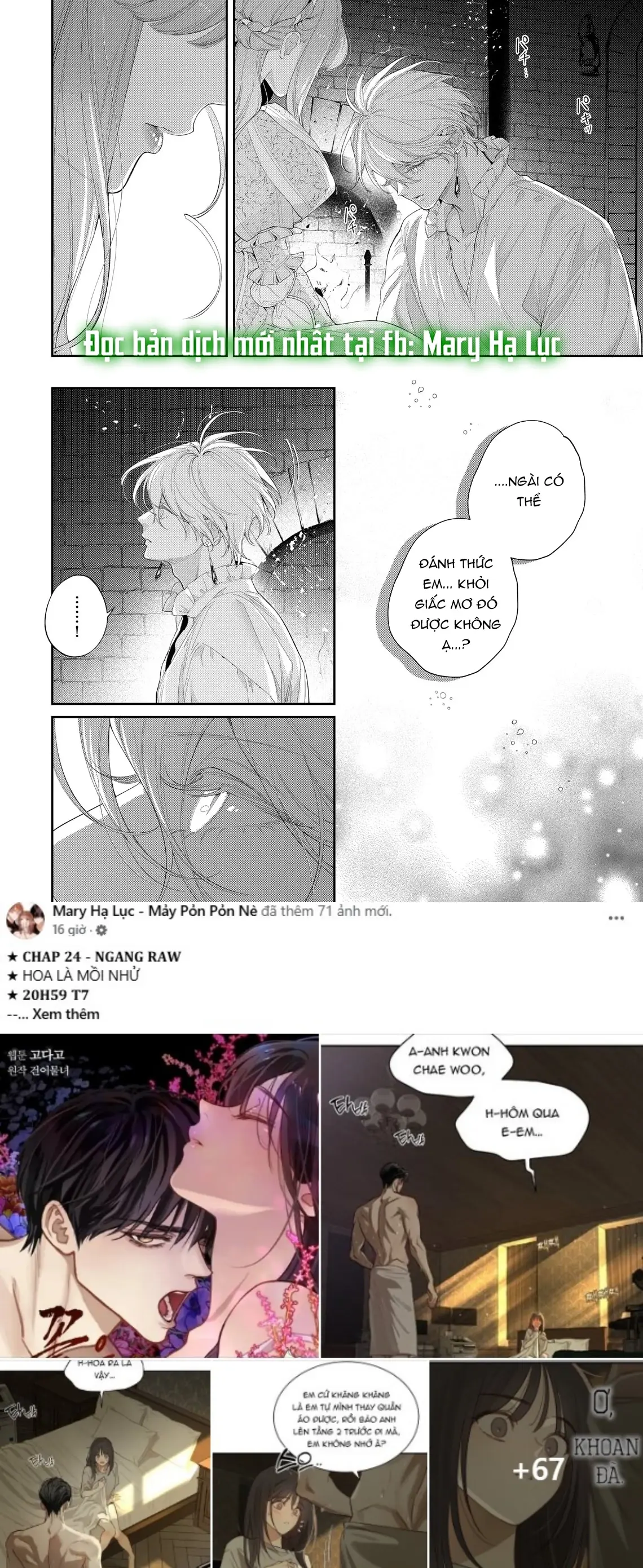 Sao Băng Ẩn Trong Hoa Chapter 25.2 - Trang 4
