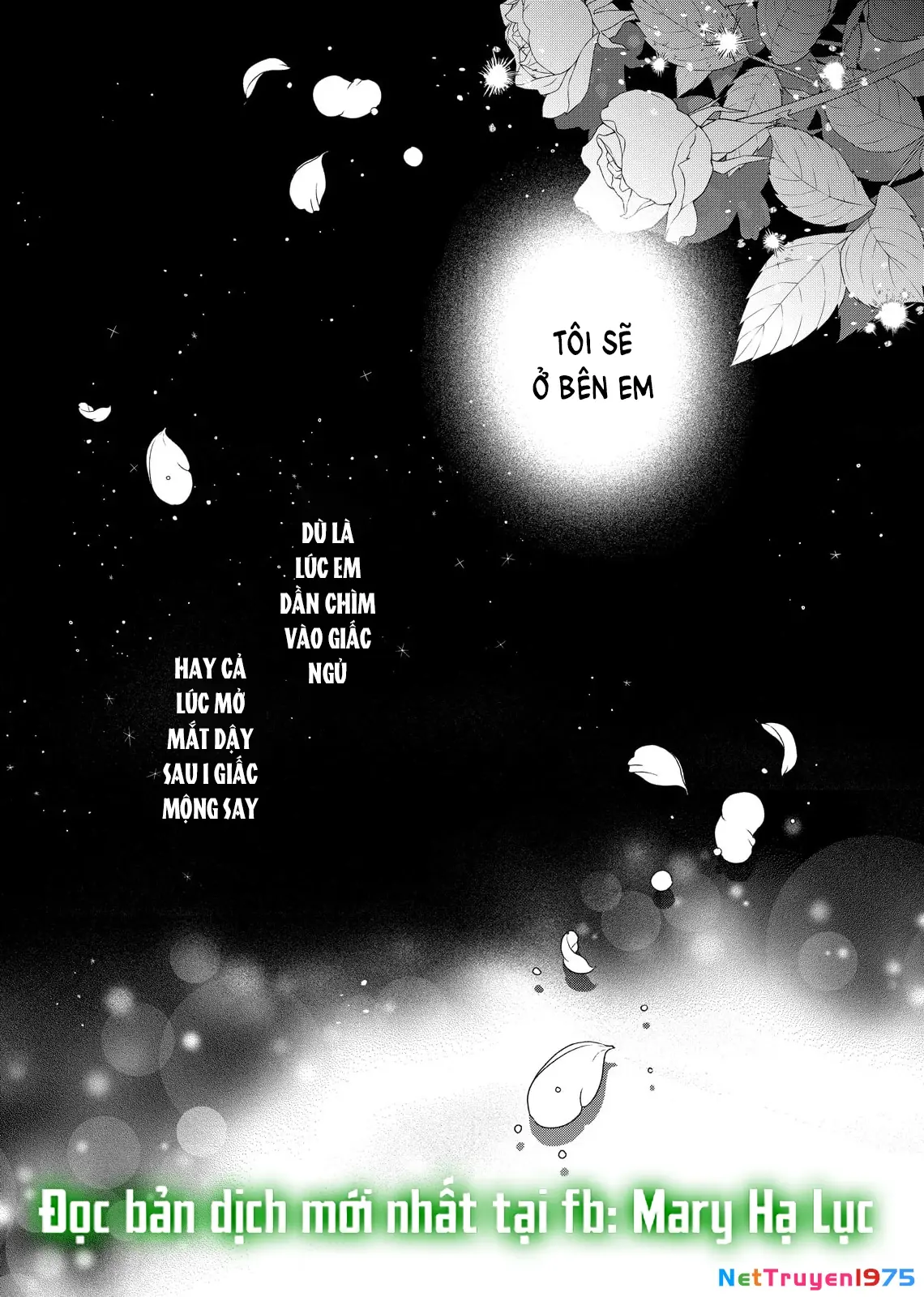 Sao Băng Ẩn Trong Hoa Chapter 26.1 - Trang 4