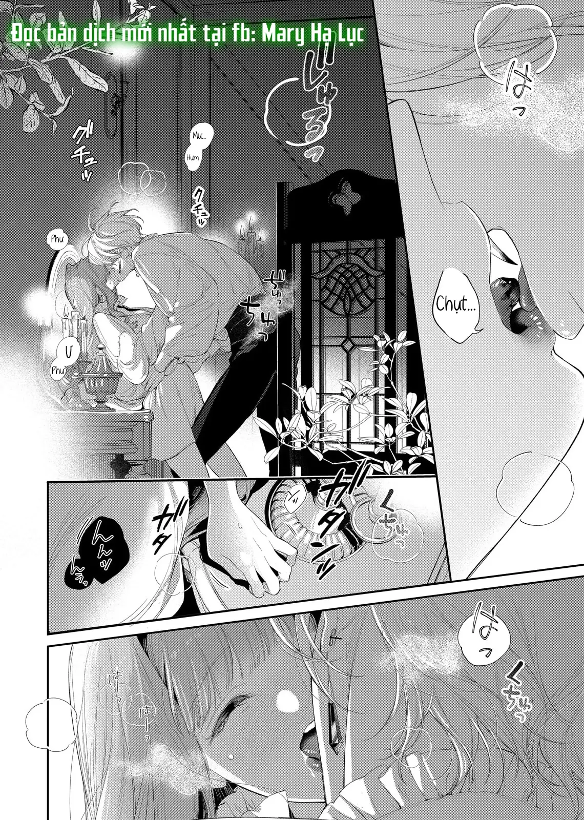 Sao Băng Ẩn Trong Hoa Chapter 26.2 - Trang 10