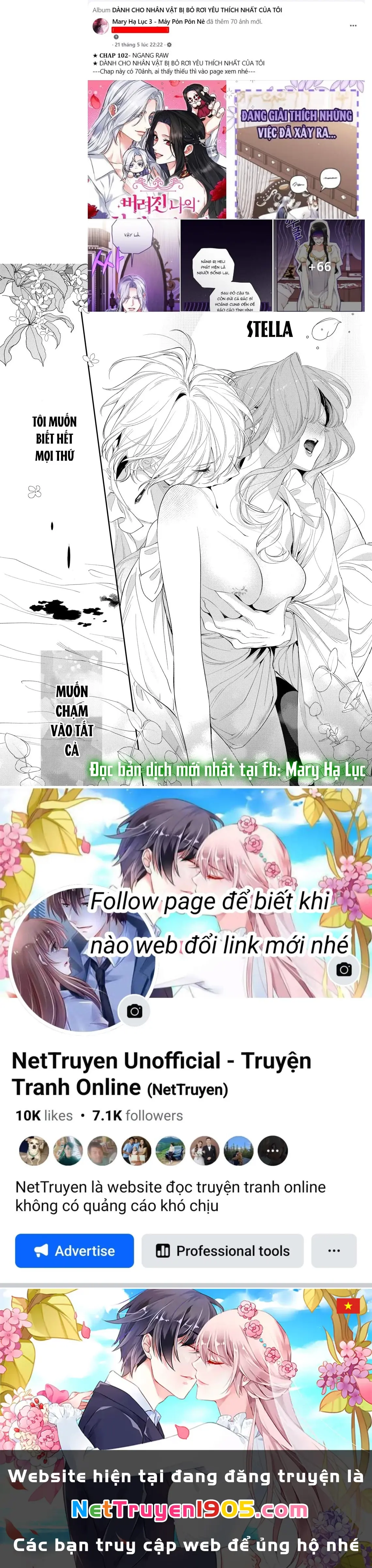 Sao Băng Ẩn Trong Hoa Chapter 27.1 - Trang 17