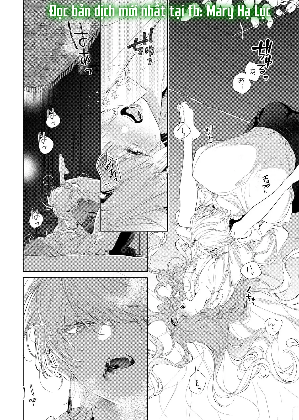 Sao Băng Ẩn Trong Hoa Chapter 27.1 - Trang 9