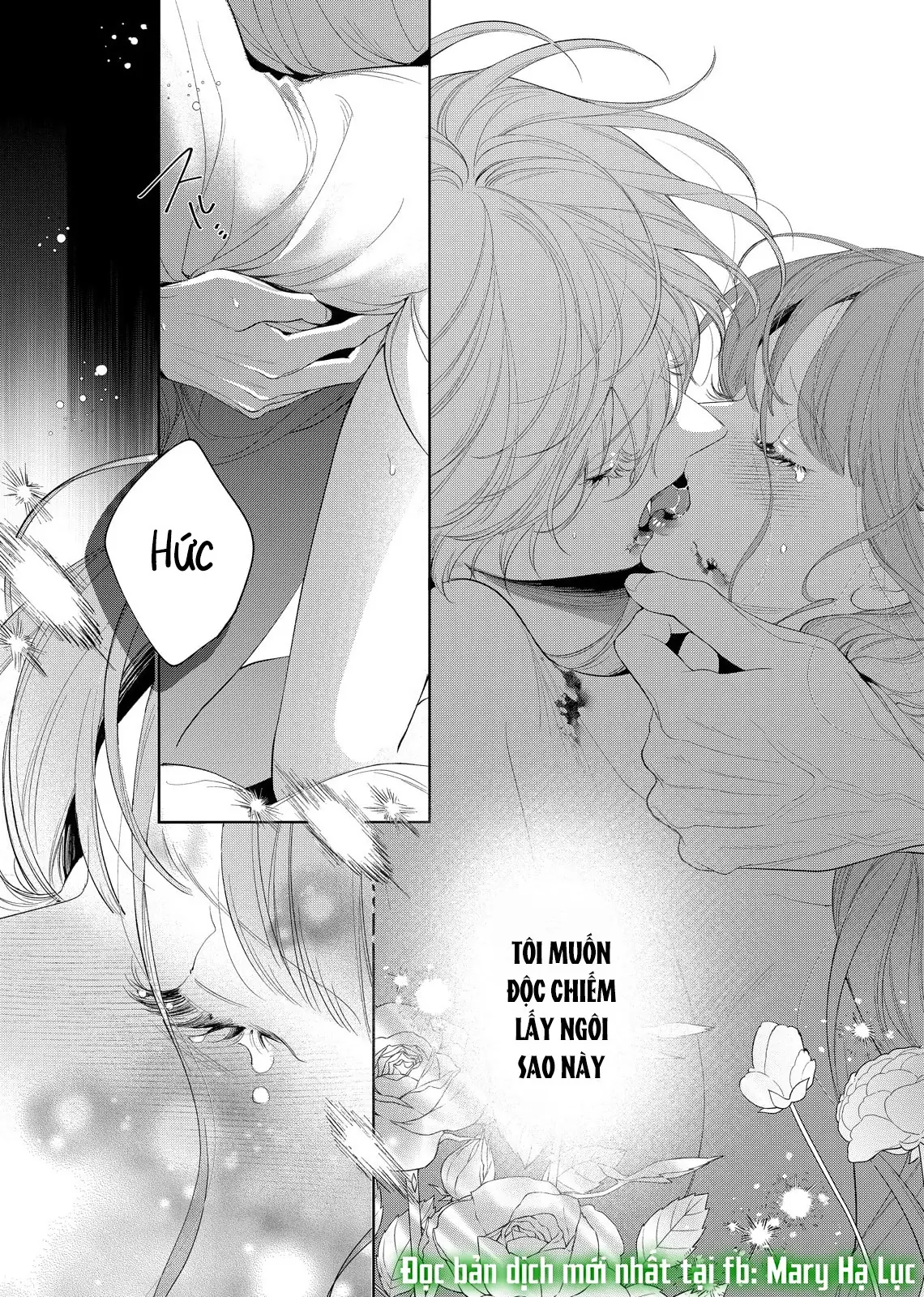 Sao Băng Ẩn Trong Hoa Chapter 27.2 - Trang 3