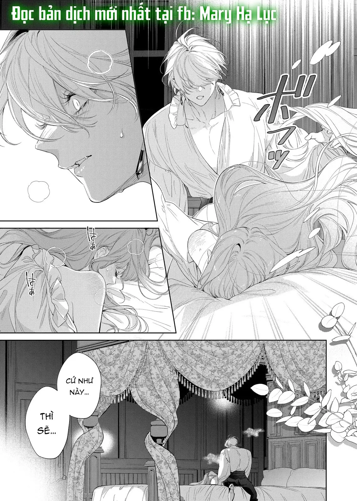 Sao Băng Ẩn Trong Hoa Chapter 27.2 - Trang 4