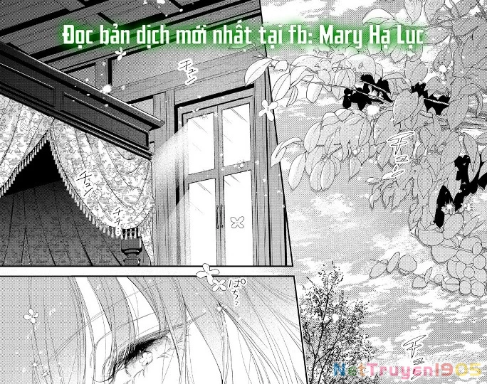 Sao Băng Ẩn Trong Hoa Chapter 28.1 - Trang 6