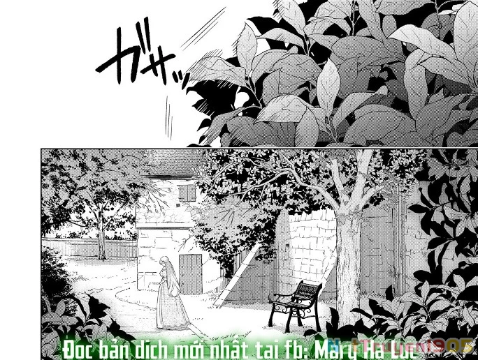 Sao Băng Ẩn Trong Hoa Chapter 28.2 - Trang 21