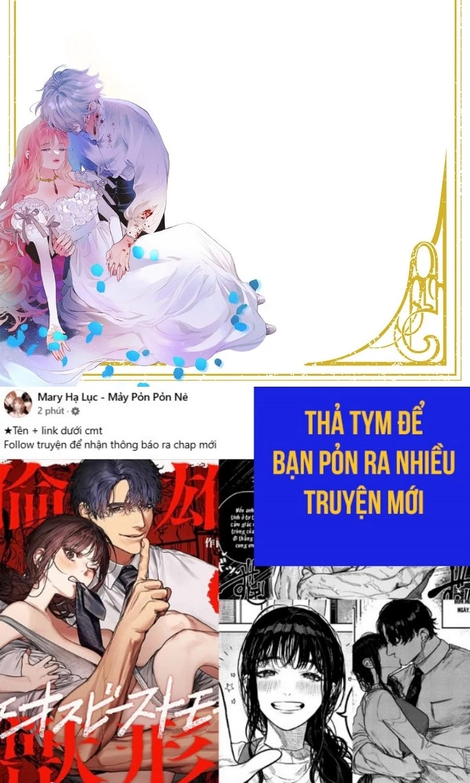 Sao Băng Ẩn Trong Hoa Chapter 28.2 - Trang 27